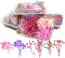 Lizaty 4 Boxen Natürliche Getrocknete Blumen Getrocknete Gepresst Blumen Gemischte Getrocknete Blätter,Gepresste Blumen für DIY Basteln Handwerk Epoxidharz Scrapbooking Dekoration