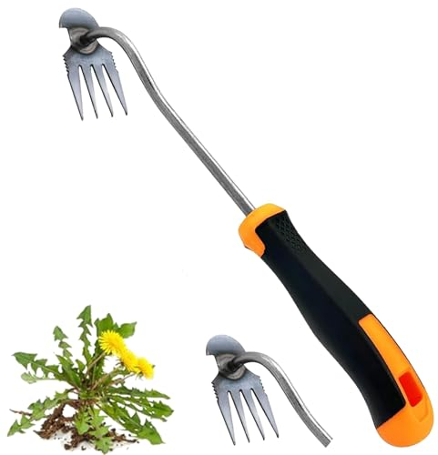Désherbeur manuel en acier inoxydable - Outil de jardinage - Outil de jardin - Nettoyeur de joints - Outil de désherbage manuel - Avec poignée en caoutchouc - 4 dents