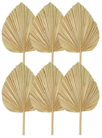 Cpolebev 6 Piezas Hojas de Palma Secas Abanicos de Palma Secas Naturales,Lanza de Palma Grande para DecoracióN de Boda,DecoracióN de Hojas de Palma Tropicales S