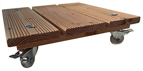 MW-TopShop Pflanzenroller Löwe (40x40cm 50mm Rollen)