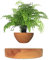 FXXWJP Levitating Plant Pot schwebender blumentopf Floating Air Bonsai Pot Suspension Drehung Blumentopf Pflanzgefäße Für Garten Schreibtischdekor-A