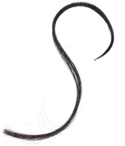 TOYANDONA Pferdehaar Für Cellobögen Haare Für Streichinstrumente Professionelles Cellobogenhaar Zubehör Für Cello Weiße Pferdeschwanzhaar Ersatz Für Bogenhaar Langlebige Cellobogenhaar Verar