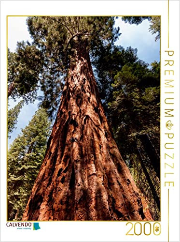 CALVENDO Puzzle Mammutbaum 2000 Teile Puzzle hoch | Lege-Größe cm Foto-Puzzle für glückliche Stunden