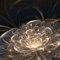Ceanothe Tableau sur verre fleur de lumière 45x45 cm - Impression Image Haute Définition Pour Décoration Murale avec Finition Brillante Fabriqué en France