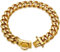 Goldenes Hundehalsband mit Metallkette, mit Design, sicherer Schnalle, 18 Karat vergoldetes kubanisches Glied, 19 mm dick, robust, kaufest, für kleine Hunde (30,5 cm)