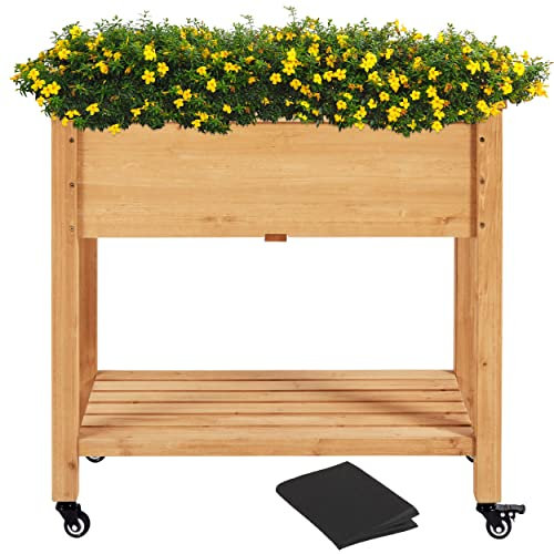 Abician Carré Potager en Bois de Sapin Carré Potager à roulettes avec Étagère de Rangement pour Plantes, Légumes, Fleurs