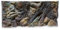 ZooPaul Aquarium Rückwand 3D 120x60cm Terrarium Hintergrund Fels Stein Wurzel Struktur Amazonas NEU