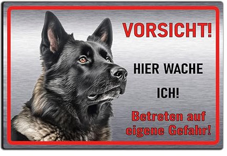 Schild Hund, Hundeschild, Warnung, Hier wache ich - Betreten auf eigene Gefahr! Achtung - Warnschild Edelstahl Optik - Warnung vor dem Hund - Deutsche Schäferhund M5 (Aluverbund Silber, 30x20 cm)