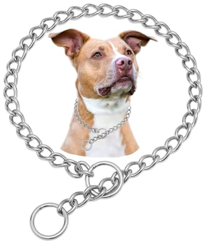 Slip Dog Collar Dogs Chain Link Training Collar Stainless Steel Metal Slip Puppy Martingale Collars for XXS XS Small Medium Large Big XL Breed Dogs XL