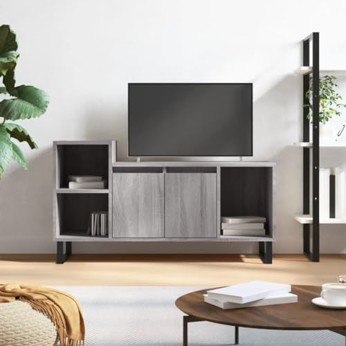 TV Lowboard Grau Sonoma 100 cm Breit Holzoptik Stabiles Holzwerkstoff Ideal f¨¹r Wohnzimmer