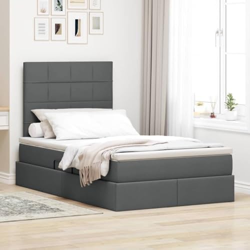 Qnhdfrt Side Open Storage Bed 120x200 cm Stoff dunkelgrau mit LED Beleuchtung USB Ladestation hydraulischer Bettkasten modernes Doppelbett Jugendzimmer Schlafzimmer
