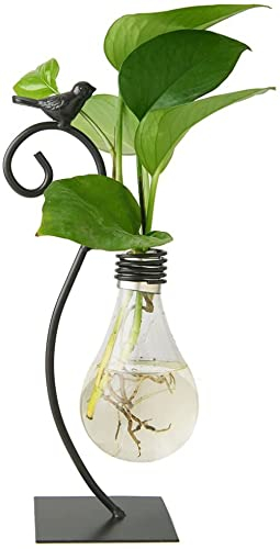 YXSH Desktop Glas Pflanzer Hydroponics Vase, Blumenzwiebel Vase Mit Halter Für Heimtextilien Moderne Kreative Vogel Katze Pflanze Terrarium Stand