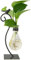 YXSH Desktop Glas Pflanzer Hydroponics Vase, Blumenzwiebel Vase Mit Halter Für Heimtextilien Moderne Kreative Vogel Katze Pflanze Terrarium Stand