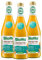 BIOTTA - Ma journée de jus - Jus de fruits détox - Anti-inflammatoire - Mangue, orange et carotte frais et 100% Bio - Enrichi en Curcuma, vitamine et minéraux - 500 ml - Lot de 3