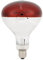LIZEALUCKY Lampada riscaldante per pulcini Lampadina in vetro rossa Lampada riscaldante per pulcini Luce a infrarossi per allevatrice Lampada termica rossa Lampadina rossa per pulcini