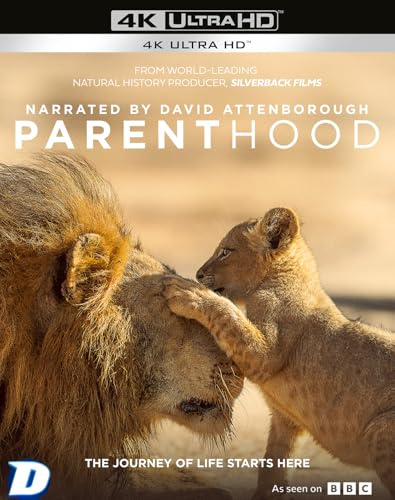 Parenthood [4k Ultra HD & Blu-Ray]