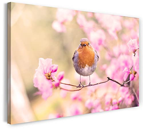 Printistico Leinwandbild (80x60cm) Vogel mit Kirschblüten, Blumen Frühling Wald, warme Farbe, Tier-Fotos, Natur-Fotografie, echter Holz-Keilrahmen inkl. Aufhänger, handgefertigt in Deutschland