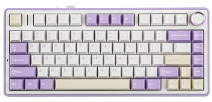 EPOMAKER AULA F75 Wireless Mechanical Gaming Keyboard, 75% Layout with Knob, Creamy Gasekt-Mount with Sound-Dampening, RGB, Hot-Swap, Bluetooth/2.4Ghz (Purple, LEOBOG Reaper Switch)