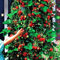 Haloppe 50 Unids Semillas de Frutas de Fresa para la Plantación de Jardín en Casa, Semillas de Fresa Rojas Jardín de Frutas en Maceta Decoración Plantas Trepadoras