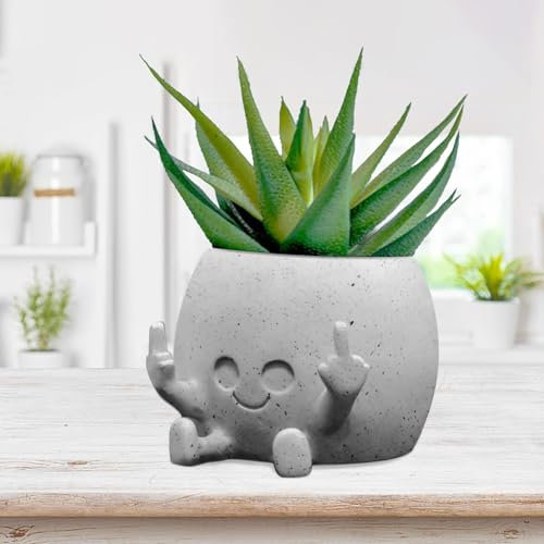 Toparad Smiling Plant Pot with Middle Fingers Up, Face Planter Pot Resin Flower Planters for Indoor Outdoor Plants Succulent Pots for String of Pearls Plant Live Gift Ideas for Mother (White)