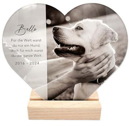 Andenken an verstorbenen Hund Bild Gedenktafel aus Acrylglas zur Erinnerung & Trauer personalisiert Glasherz mit Foto Geschenk für Hundebesitzer inkl. Holzfuß 20x22 cm (Herz)