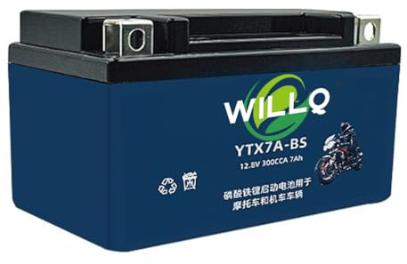 WILLQ LiFePO4 Lithium Battery 12.8V 4Ah 5Ah 7Ah 9Ah 12Ah 15Ah 20Ah 30Ah Motorcycle Start Battery Replacement for ATV/Jet Ski/Riding Mower/Scooter,YTX7A BS