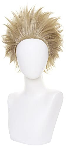 HIROAKIYA Keigo Takami Hawks Wig, MHA Keigo Takami Hawks Cosplay Wig with Wig Cap