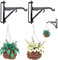 WEBEEDY 4 Stück Miniatur Puppenhaus Pflanzen Set Hängepflanze mit Korb Mini Garten Topfpflanzen Miniatur Künstliche Pflanzen Modell für 1:12 Puppenhaus Feengarten Dekor