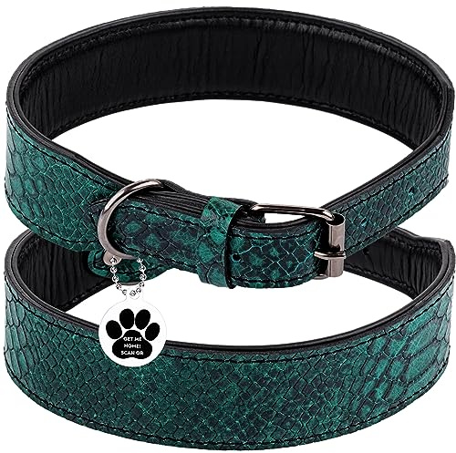 FAVPET Luxus Echtleder Halsband Hund Breit mit QR Code Anhänger, Gepolstertes Hundehalsband Leder Breit, Breites Lederhalsband Hund, Breite Hunde Halsbänder, Welpenhalsbänder Leder (Grün, XXL)
