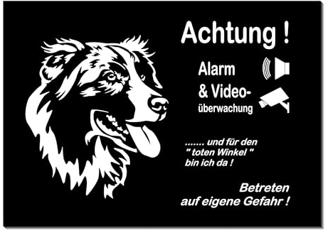Australian Shepherd-Alarm + Videoüberwacht-Hund-Schild-Hundeschild- 300 x 200 mm-Aluminium-Hunde-Tierschild-Warnschild-Hinweisschild (1451-140 mit Eigenbild)