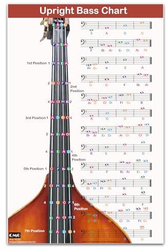 QMG Upright Bass Fingering Chart with Color-Coded Notes, Double Bass Chart Suitable for All Levels, Laminated, Size 11” x 17”