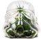 Original Stormtrooper 3D Helmet Glass Terrarium & Cookie Jar Tank with Lid, Kitchen Storage & Organisation, Star Wars Gifts for Men - Thumbs Up!
