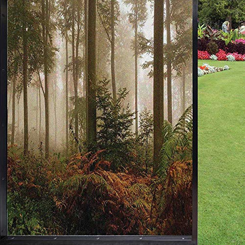 Forest Window film window film privacy,Mystic Dark Fog Atmosphere Deep in The Forest Woodland Nobody Silence Image window film privacy tint for Bathroom Office Living Room,Brown Orange Green 24 x 36