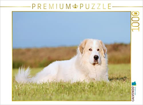 CALVENDO Puzzle Pyrenäenberghund | 1000 Teile Lege-Größe 64 x 48 cm Foto-Puzzle für glückliche Stunden