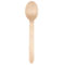 NATURE & CREATION - 100 CUILLERES Bois L165MM + CPLA 100% Biodegradable