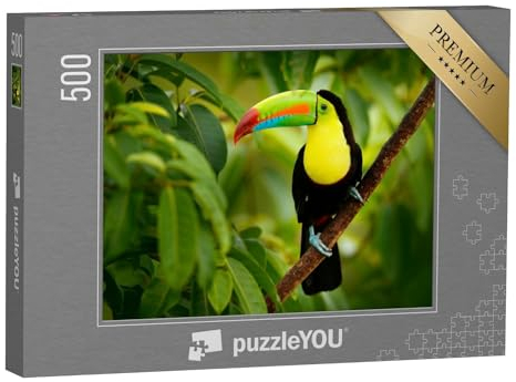 puzzleYOU: Puzzle 500 Teile „Tukan auf Costa Rica“ – aus der Puzzle-Kollektion Costa Rica