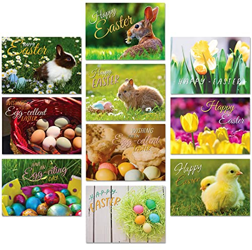 A&M Natural Living Easter Cards Pack Of 10, A6 Multipack Blank Greeting Cards With Envelopes, 10 Bunny Rabbit Flowers & Easter Egg Designs, Blank Inside, Made In The UK
