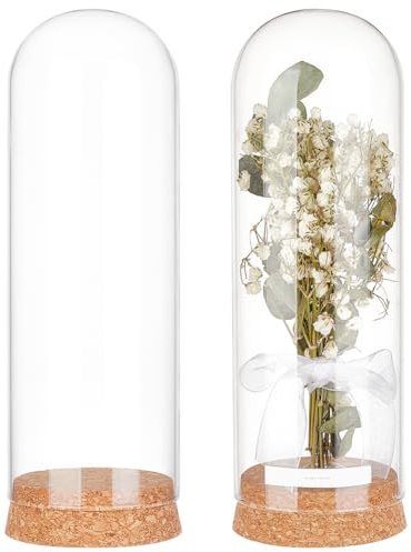 BENECREAT 2 Packung Glas-Display-Kuppelglocke, 19.5x6.5cm Große Glasglocke Gewölbte Glasgefäße, Dekorative Gläser Mit Korkboden Für Blumenpflanzen, Basteldekorationen, Innendurchmesser: 6cm