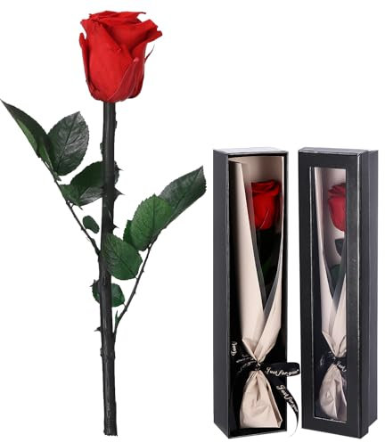 Bixury Infinity Rose Rot Die ewige Rose Infinity Rose Rot am Stiel mit Geschenkbox Valentinstag Weihnachten Muttertag Deko Geschenk Konservierte Rose in Rosenbox Geschenke für Frauen Mama