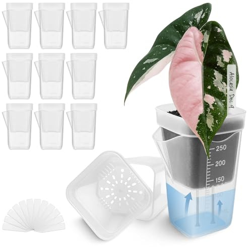 ESSECMBS 10PCS Self Watering Planters with Drainage Transparent Plastic Plant Pot for Vegetable Propagation Root Cutting Seed Starting (10Pcs Clear, One Size)