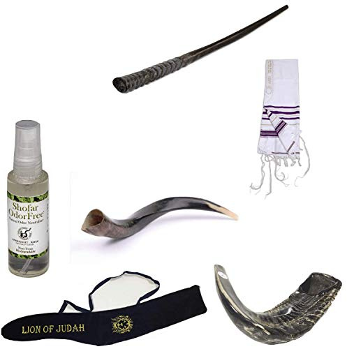 Amaizing Set Shofar Oryx, Ram Horn, Kudu, Tallit lila Koscher, Tragetasche + Spray