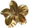 LARUISEE Pinza para el pelo con forma de flor dulce, pinzas de resorte, elegantes pasadores para la cabeza, accesorios florales coloridos, horquilla dorada