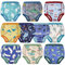 FLYISH DIRECT Baby Töpfchen Trainingshose, Packung mit 10 Kinder Töpfchentraining Unterwäsche für Jungen und Mädchen, 100/3T