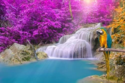 adrium Acryl-Bild 140 x 90 cm: Papagei-Ara gegen tropischen Wasserfall im tiefen Wald. (43912101)