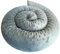 Bebeloo Bettschlange Bettkissen Seitenschläferkissen Nackenrolle Schlafkissen Kuschelschlange Stillkissen Zierkissen Zugluftstopper Body Pillow Minky Oeko-TEX (Grau, 300 cm)