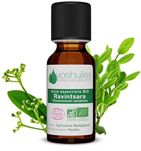 Voshuiles - Huile Essentielle Ravintsara Bio 5ml - Utilisation Polyvalente et Alimentaire - Parfum Frais - Huiles Essentielles de Qualité - 100% Pure et Naturelle - HEBBD et Certifiée ECOCERT