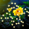 Solar Pilzlampe, Außen Wasserdicht Solargarten Pilzlampe， Pilz Solar Pilzlampe Garten, Pilz Solarleuchten， Pilz Lichterkette， Solar Lichterkette Pilze Aussen，pilz lampe，mushroom lamp