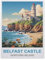 Jigsaw Puzzles for Adults 1000 Piece，Belfast Castle Northern Ireland，Difficult Puzzle Perfect Educational Gift for Boys And Girls（50x70cm）-R34