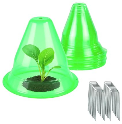 Maximex Pflanzenhut, 6er Set, Schutz vor Frost, Vögeln und Schnecken im Garten, Anzuchtglocken für Setzlinge, Ø 27 x 23,5 cm, PET-Kunststoff, Grün