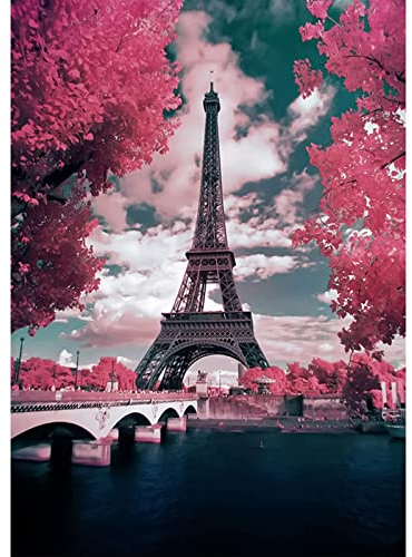 QENSPE Diamond Painting Eiffelturm Diamant Painting Bilder Ahornbaum 5D Diamond Painting Erwachsene Turm Full Diamant Bilder Malerei Stickerei Set Kreuzstich Bilder Home Wand Dekor 30x40cm